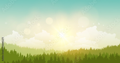 vector illustration of green landscape of sunny morning.

