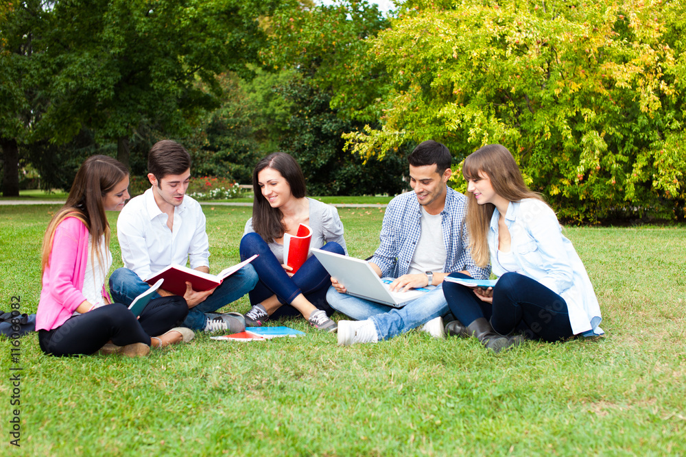 Group of friends studying together in a park