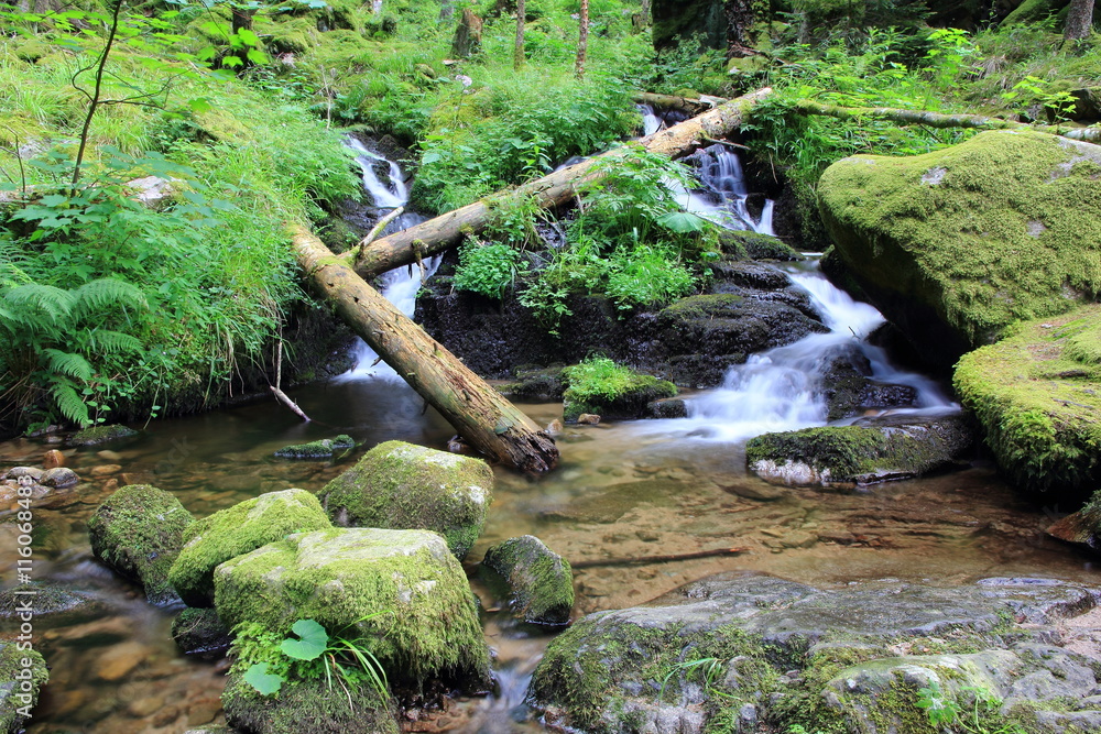 Cascades dans la vallée de Munster