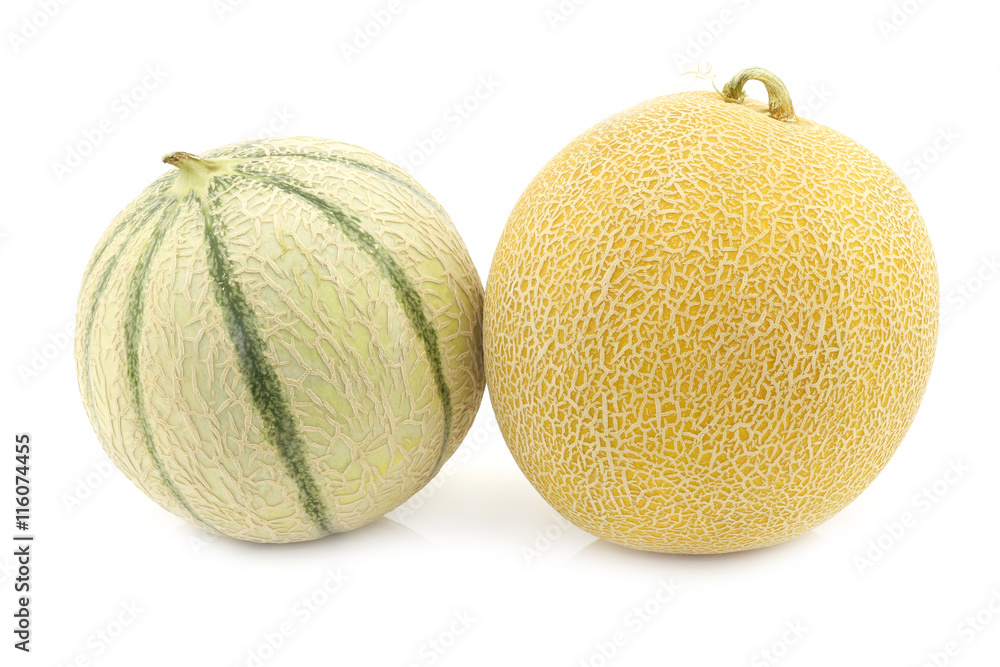 fresh galia melon and a cantaloupe melon on a white background fresh galia melon and a cantaloupe melon on a white background