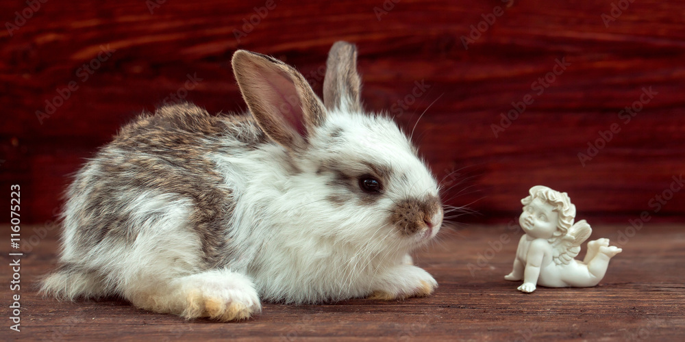 Obraz premium Little rabbit and dreaming angel