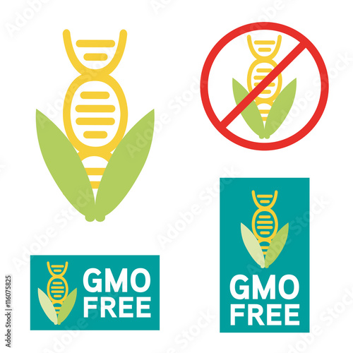 GMO free icon symbol design. Non Genetically Modified Organism sign with cob corn vector illustration.