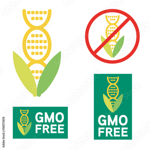GMO free icon symbol design. Non Genetically Modified Organism sign with cob corn vector illustration.
