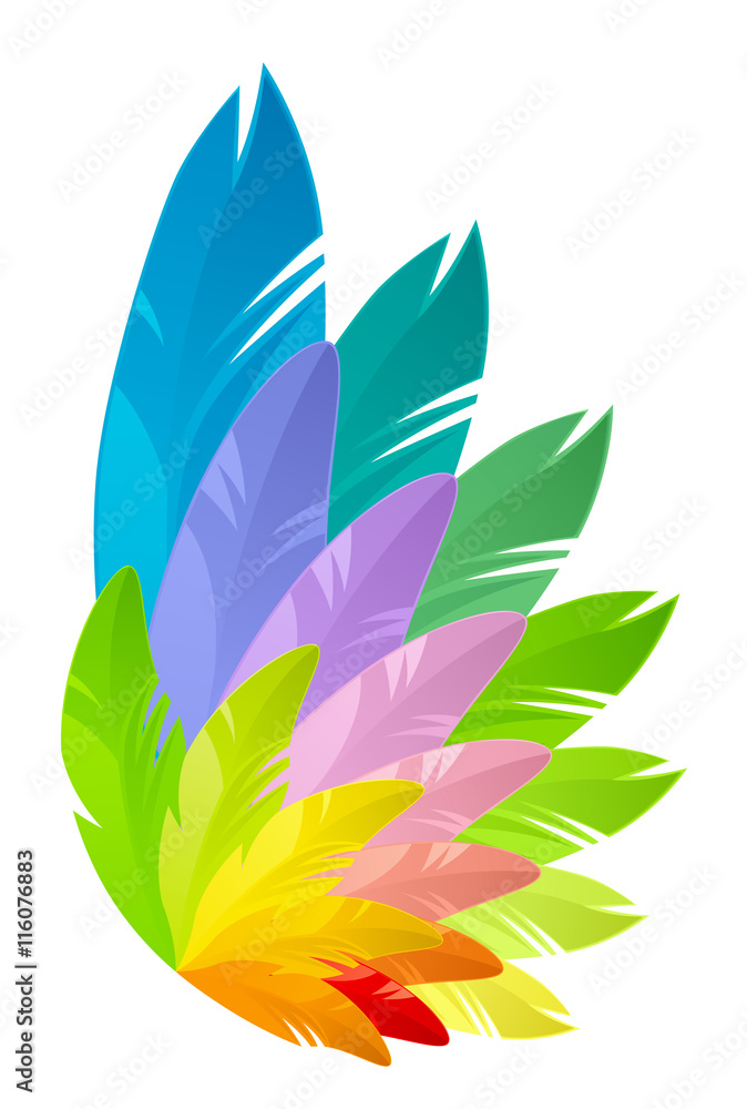 Rainbow wing