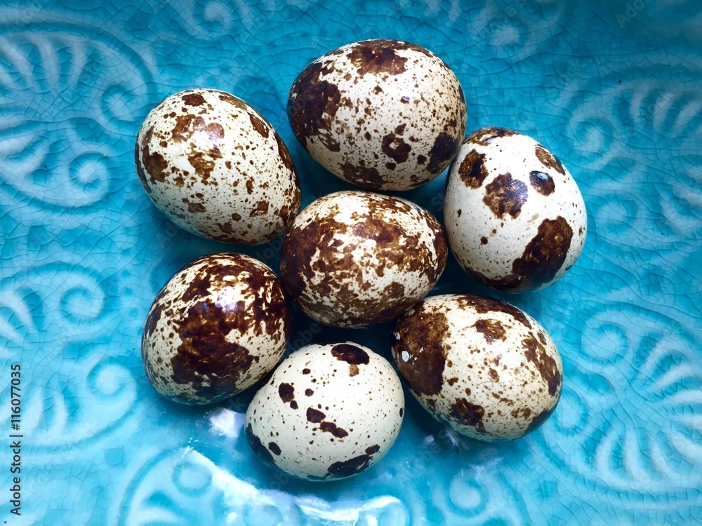 Fototapeta premium quail eggs in a blue bowl