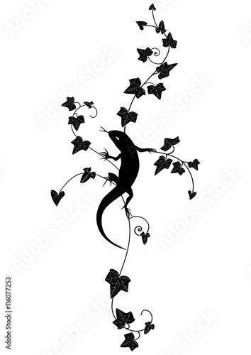 ivy and lizard