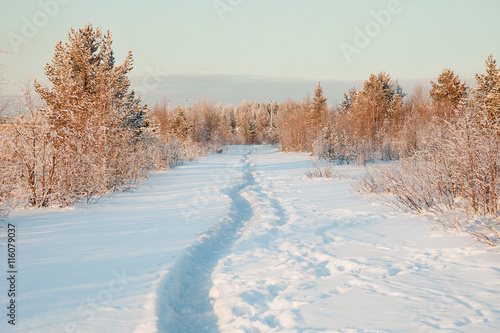 Beautiful winter landscape with snow © pzAxe