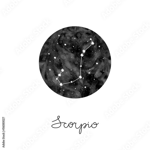 vector illustration with zodiac sign Scorpio