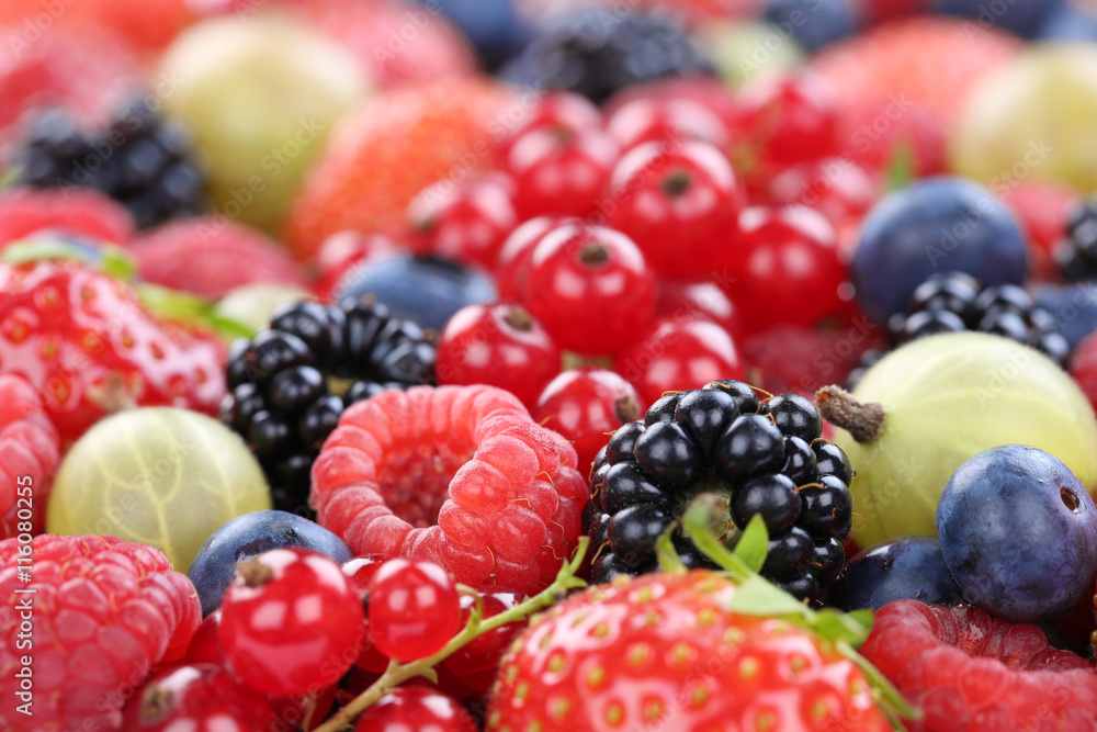 Beeren Früchte Erdbeeren Himbeeren Blaubeeren Textfreiraum Beeren Früchte Erdbeeren Himbeeren Blaubeeren Textfreiraum