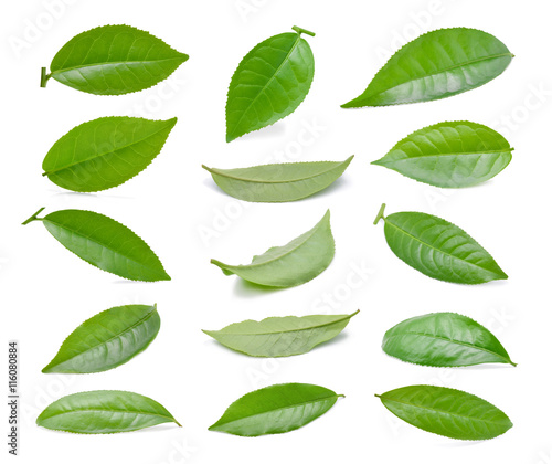 Green tea leaf isolated on white background © akepong srichaichana