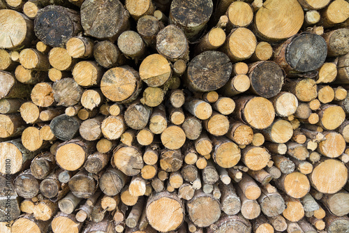 Holzsto   aus   sten und kleinen runden Baumst  mmen 