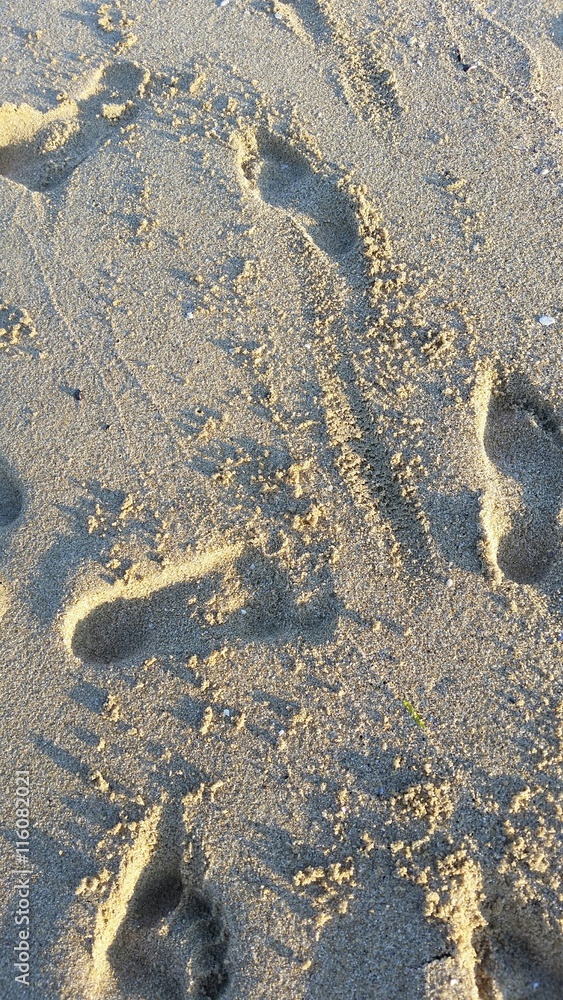 Obraz premium Traces de pas dans le sable