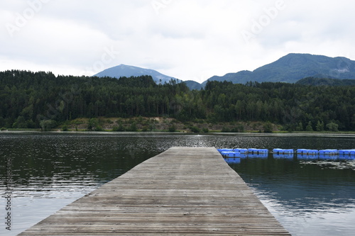 Steg, Badesteg, Holzsteg, Gösselsdorfer See, See, Badesee, verlandet, Kärnten photo