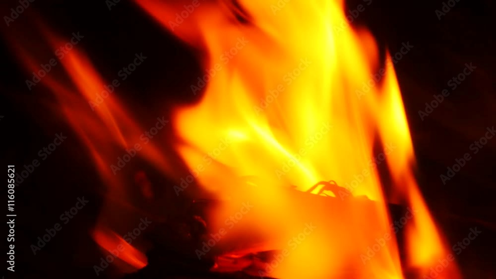 Bright burning wood in campfire. Glowing wood logs and coals in fireplace. Bright burning wood in campfire. Glowing wood logs and coals in fireplace.