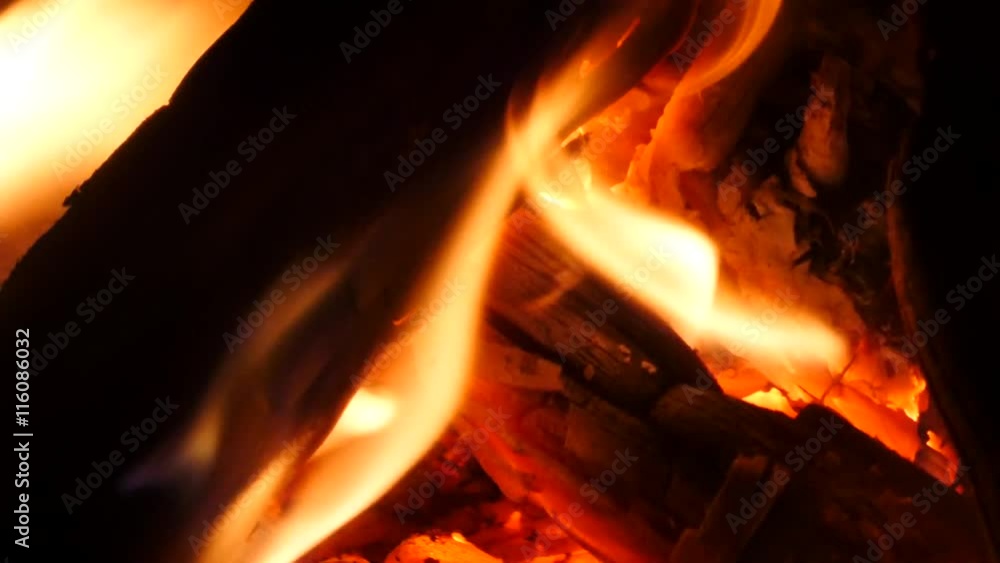 Bright burning wood in campfire. Glowing wood logs and coals in fireplace. Raised fire. Bright burning wood in campfire. Glowing wood logs and coals in fireplace. Raised fire.