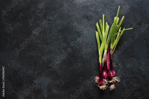 purple spring onions on dark table background