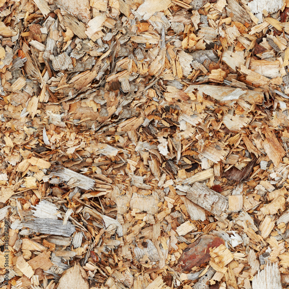 Wood shavings - seamless texture Wood shavings - seamless texture