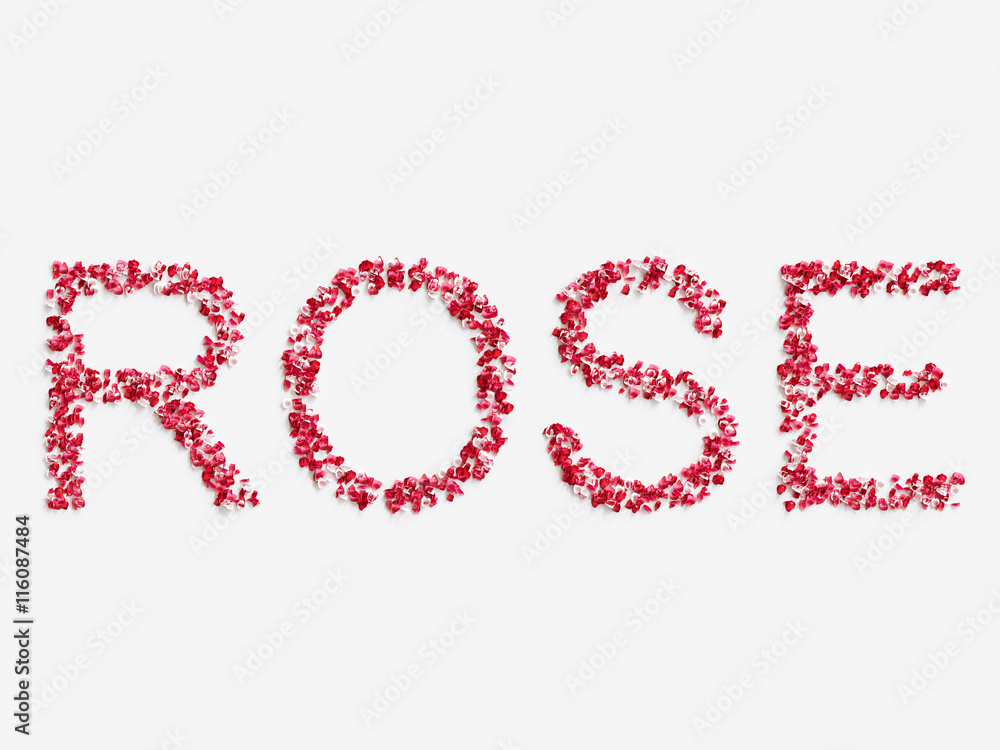 word " ROSE " made of rose petals on white background 3D render. Stock  Illustration | Adobe Stock