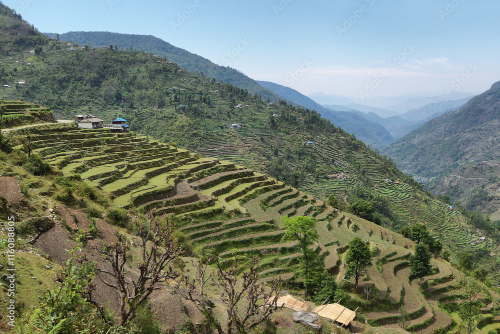Fields and wooden houses in Nepal
