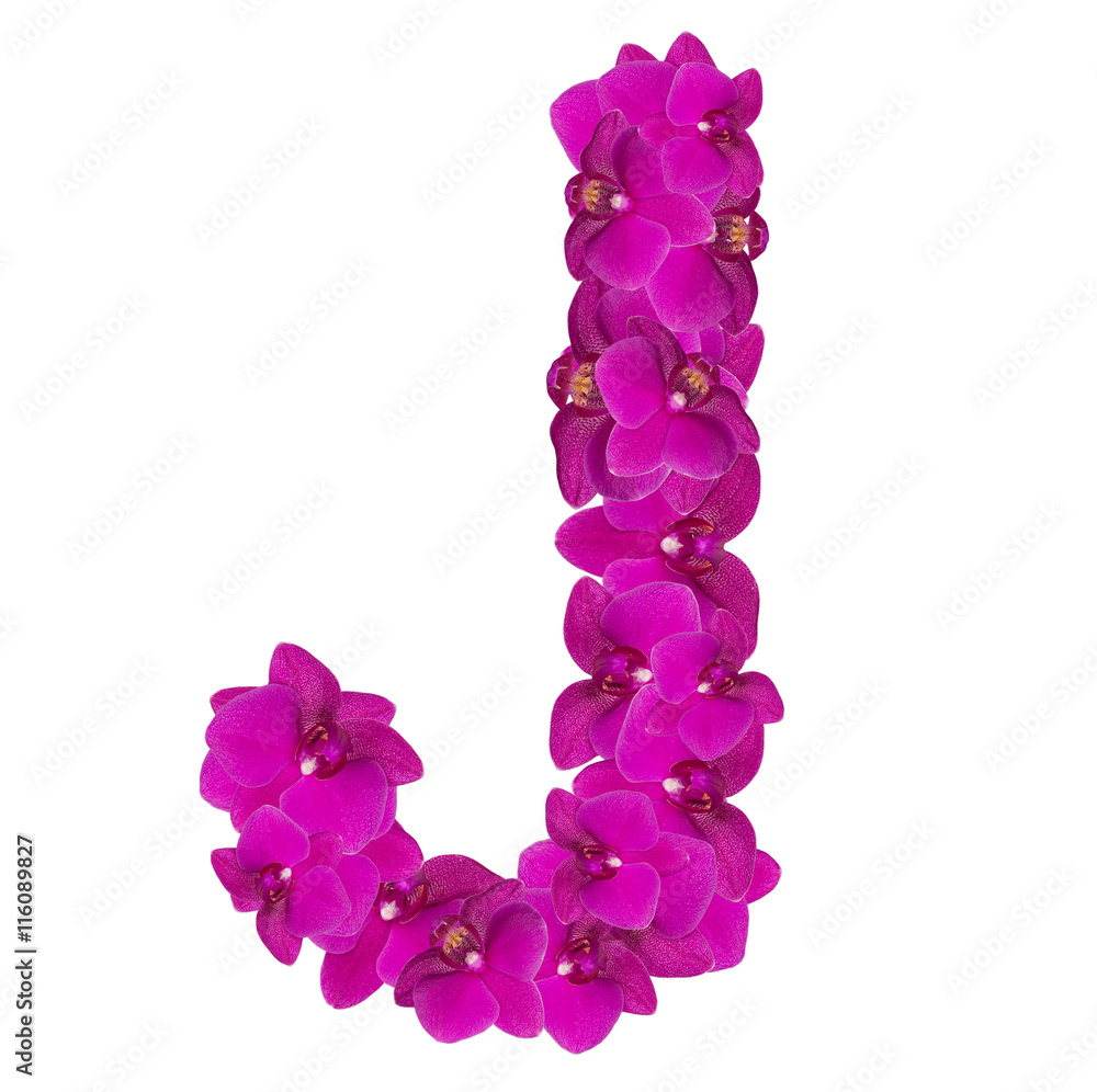 Letters made of pink flowers. J letter flower alphabet Stock Photo