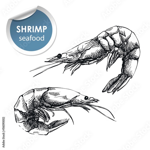 two raw shrimp