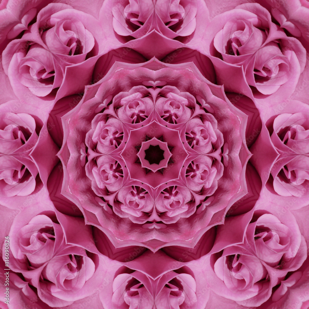 Background pattern of pink rose Mandala Background pattern of pink rose Mandala
