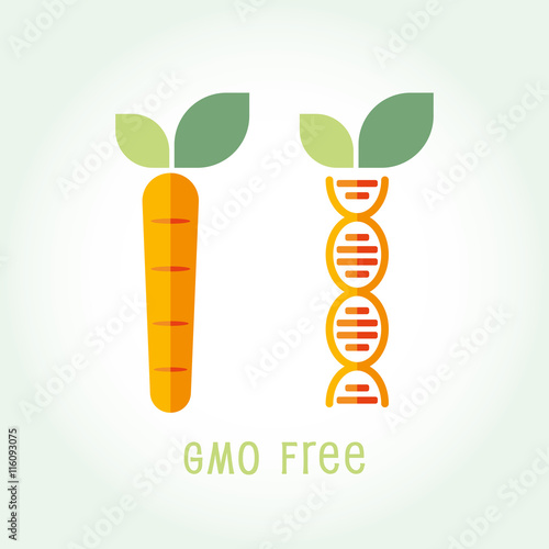 Genetically Modified Organisms GMO FREE symbol emblem icon vector illustration