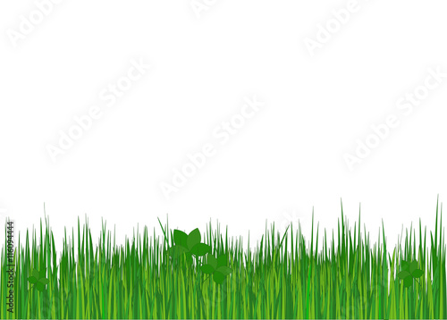 Grass. Vector