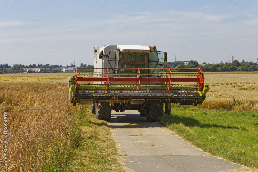Fototapeta premium combine harvester