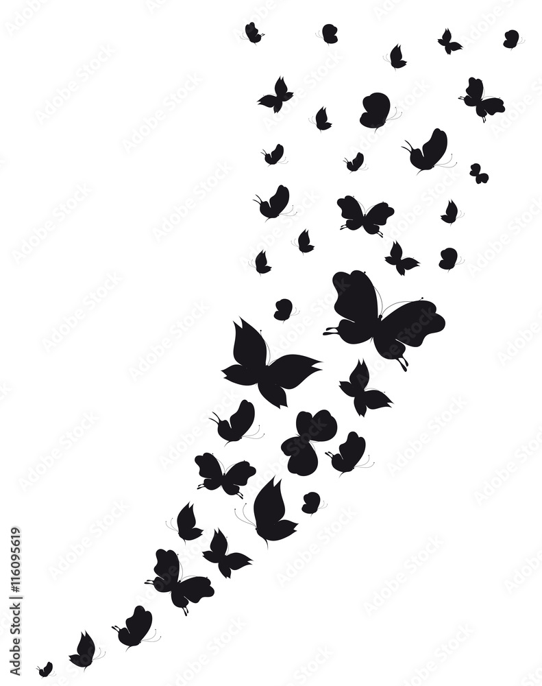 butterflies design butterflies design