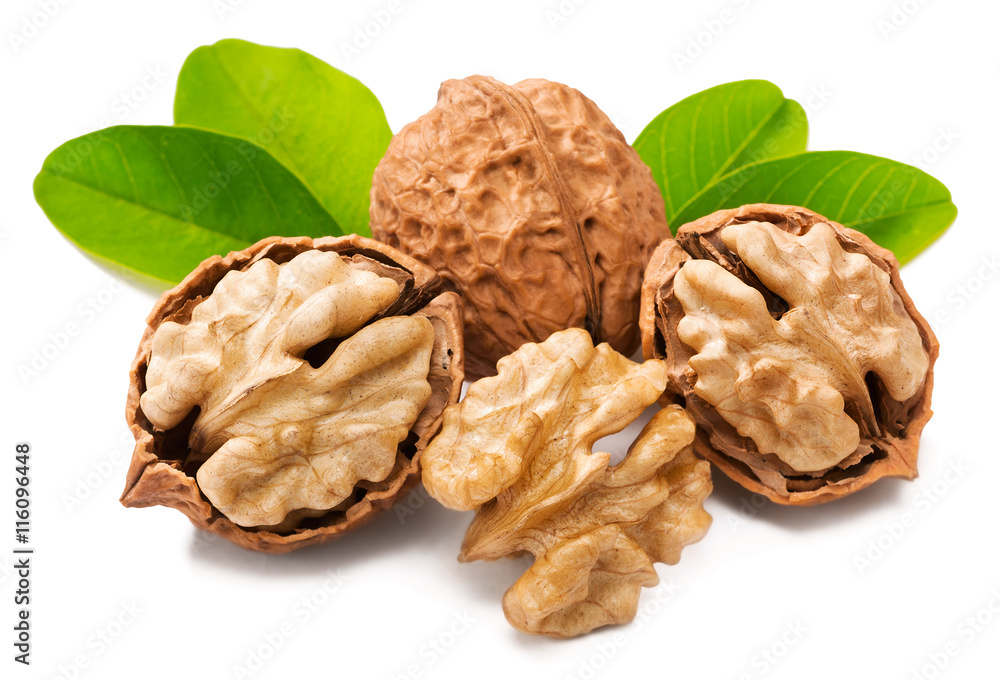 cracking walnuts with fresh leaves on white cracking walnuts with fresh leaves on white