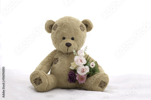 soft toy teddy bear and roses on white background.