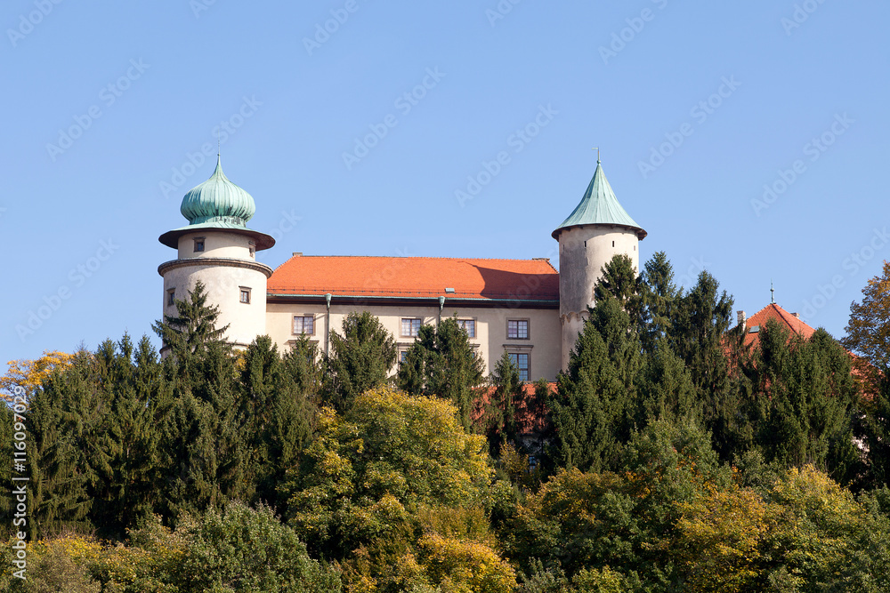 view on castle Nowy Wisnicz ,Poland