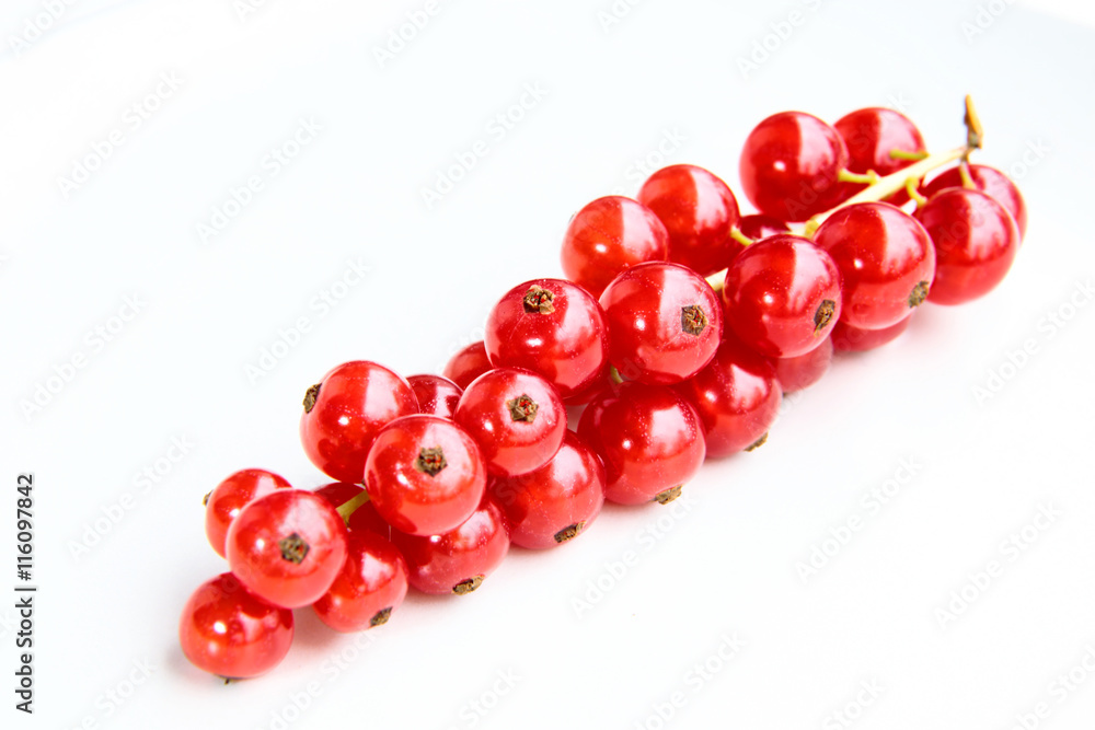closeup of a bunch of delicate and fresh redcurrants closeup of a bunch of delicate and fresh redcurrants