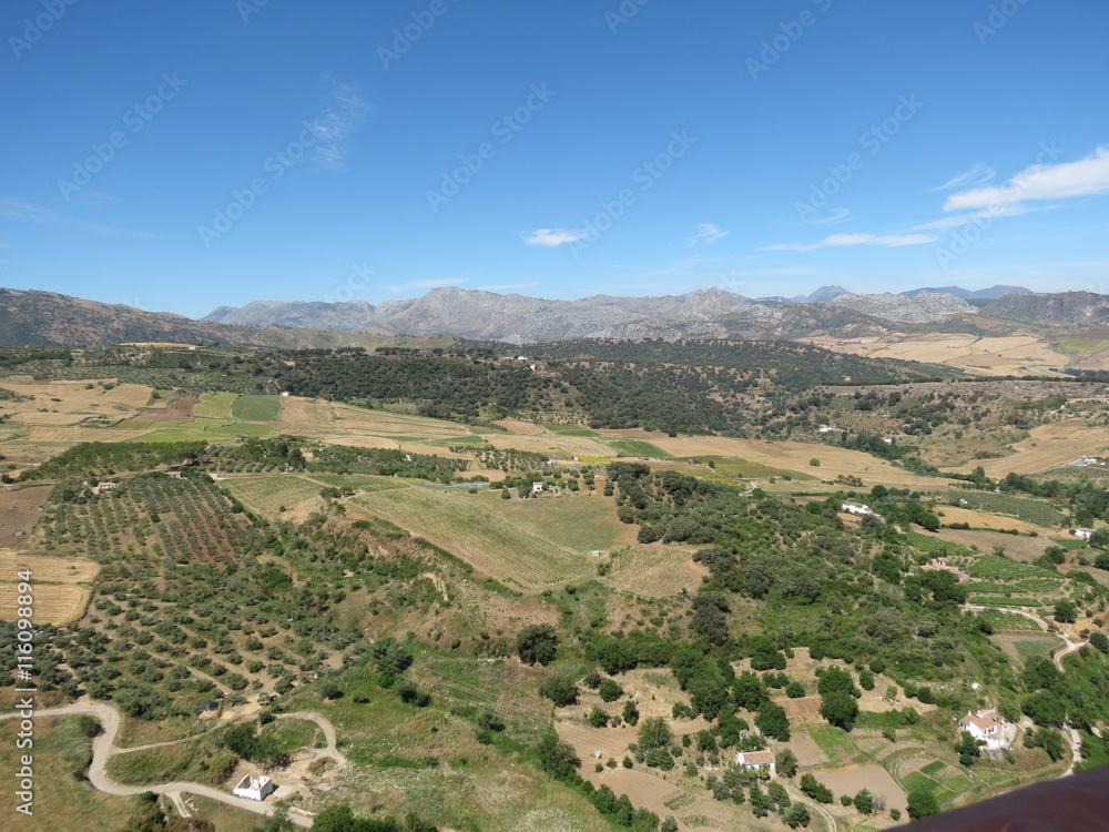 Espagne - Andalousie - Ronda - Vue sur les collines et les champs d'oliviers