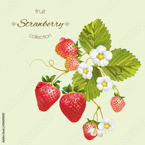 Realistic illustration of strawberry