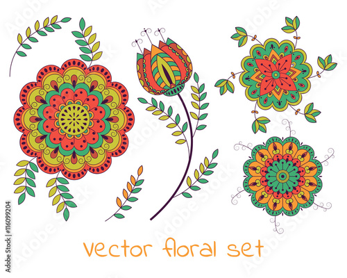 Vector floral collection with colorful flowers