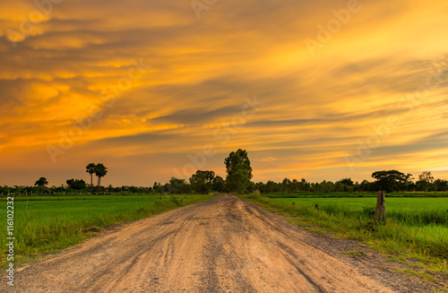 Local road around with rice field under colorful sky.