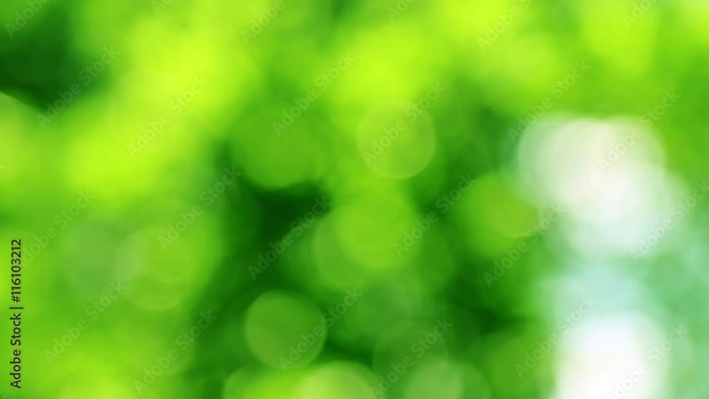 Green bokeh background Green bokeh background