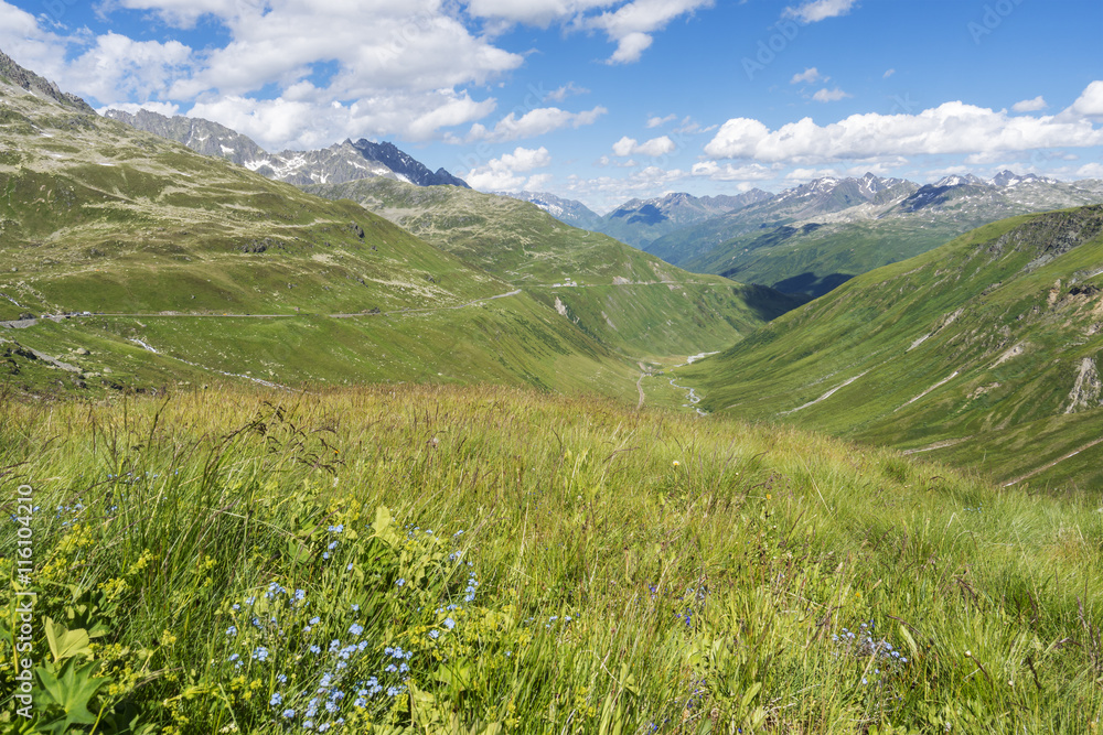 Fototapeta premium Schweizer Alpenwiese mit Bergpanorama Blick - Berglandschaft Andermatt Gotthardregion Schweiz