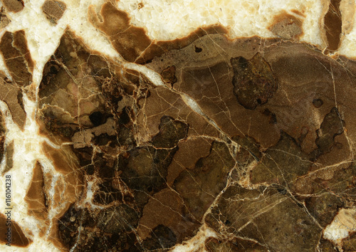 Closeup of brown and white ...