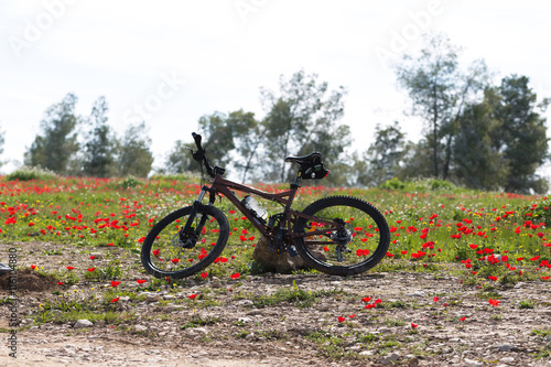 bicycle standing in a field