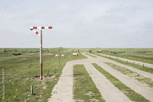 Übergang zur Hamburger Hallig