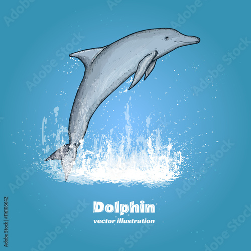 Beautiful dolphin jumping splash of water