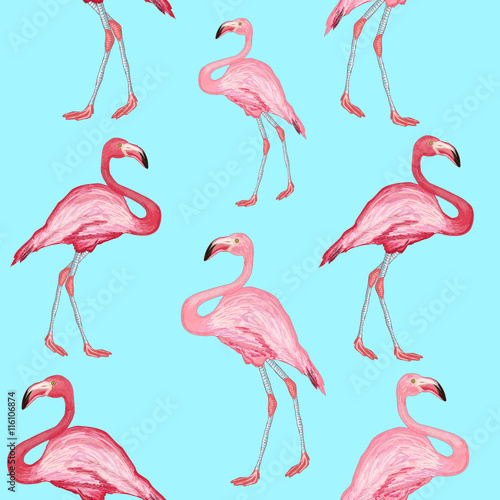 Flamingo pattern beautiful bird flamingos on a blue background