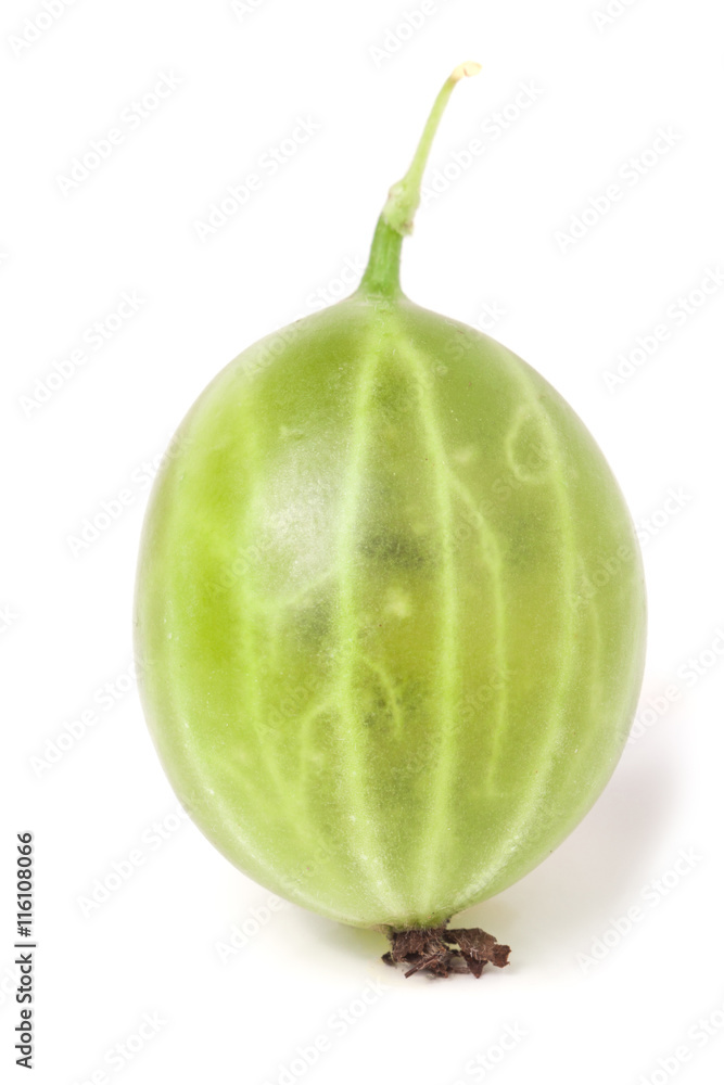 gooseberry isolated on white background close-up macro gooseberry isolated on white background close-up macro