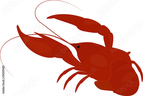 boiled red crayfish, crawfish