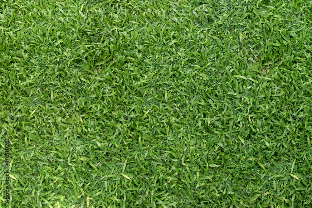Green grass with floor background texture Green grass with floor background texture