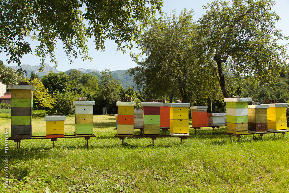 Monastery apiary with a lot of bees, sunny day in the field, good day to produce healthy natural honey. Monastery apiary with a lot of bees, sunny day in the field, good day to produce healthy natural honey.