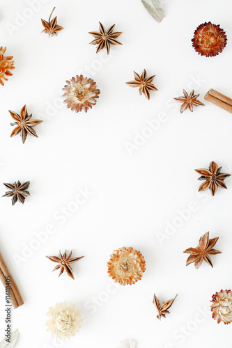 dry flowers, cinnamon and cardamom round frame wreath pattern on white background. flat lay, top view